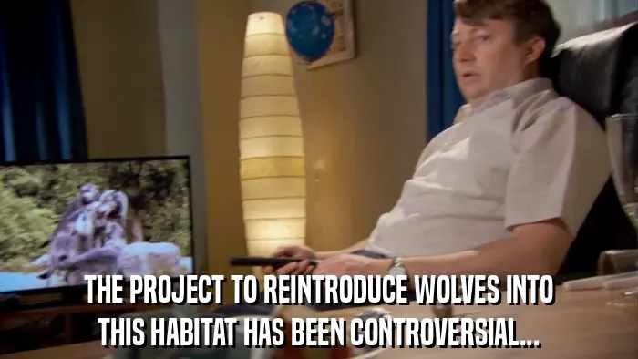 THE PROJECT TO REINTRODUCE WOLVES INTO
THIS HABITAT HAS BEEN CONTROVERSIAL...