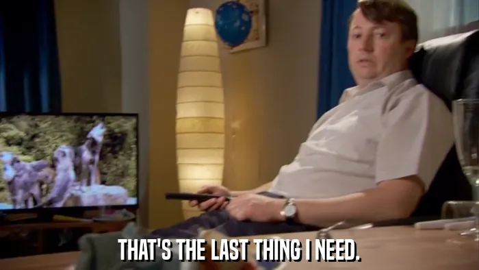 THAT'S THE LAST THING I NEED.